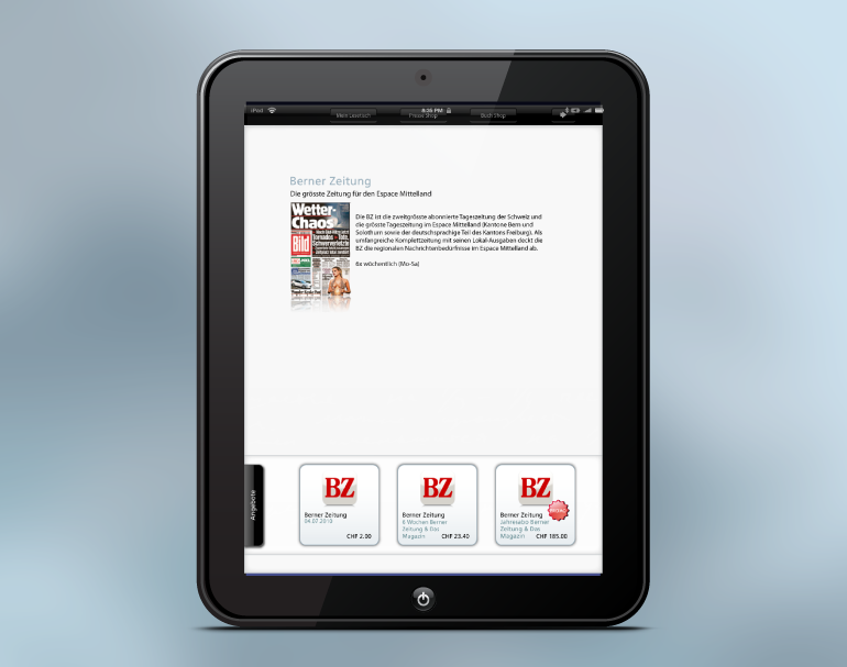 Ereader-Ipad-3